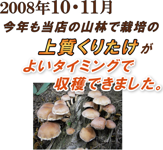 ���N���㎿���肽�����悢�^�C�~���O�Ŏ��n�ł��܂����B