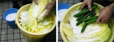 (͂)ɉUBEӉZ肷B